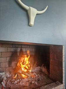 Φωτογραφία από το άλμπουμ του Starfish Beach Villa σε St Helena Bay