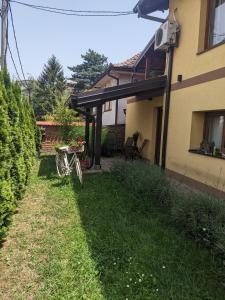 Φωτογραφία από το άλμπουμ του Kiki στο Σμεντέρεβο