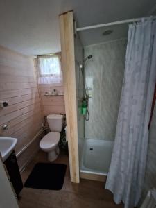 a bathroom with a shower and a toilet and a sink at Leśny Zakątek - Domek Morze in Ustka