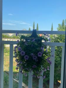 a hanging basket of purple flowers on a white fence at Apartment Karizma Mostar in Rodoč