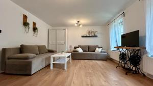 Televízia a/alebo spoločenská miestnosť v ubytovaní Apartamenty GOSZOWIANKA