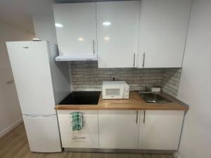 a small kitchen with a white refrigerator and a sink at Céntrico apartamento muralla 2 in Lugo