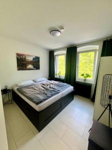 a bedroom with a bed and two windows at Große Wanderunterkunft am Hexentanzplatz U in Thale