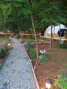 Gallery image of Evaland Glamping in Ardeşen