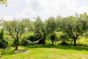 Zahrada ubytování Bubamara - Bed and Breakfast