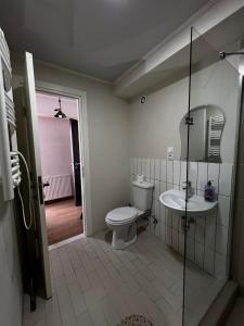 a bathroom with a toilet and a sink at Rezi's Apartment Vista Gudauri in Gudauri
