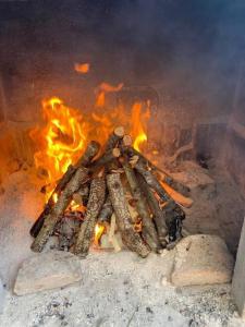 a pile of logs in a fire pit at Vila Klara room - garden view in Olib +35 photos