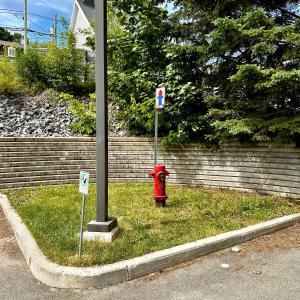 einem roten Hydranten im Gras neben einer Stange in der Unterkunft INITIAL - CAMPAGNARD - Chutes-Montmorency in Boischâtel + 35 Fotos