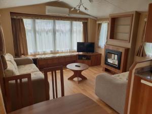 a living room with a couch and a fireplace at CAMPING RÊVE DES ILES in Argelès-sur-Mer