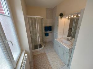 a bathroom with a sink and a shower and a mirror at Gîte de la Vallée du Don in Guéméné-Penfao +30 photos