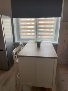 Kuchyň nebo kuchyňský kout v ubytování Tiny Studio Pyskowice with parking