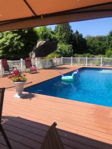 ein Schwimmbecken mit einer Gummiente im Wasser in der Unterkunft A sweet suite in Westhampton Beach