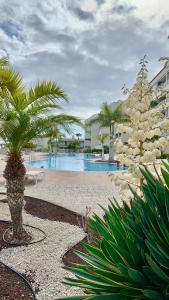 ein Resort mit Swimmingpool und Palmen in der Unterkunft Apartamento Las Palmeritas Palm Mar Tenerife Sur in Palm-mar
