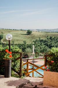 Príroda v okolí apartmánu + 37 fotografií