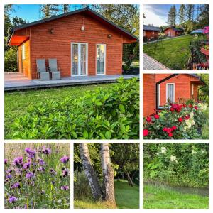 Zahrada ubytování ZIELONY GAJ przy SOLINIE + 4 fotografie