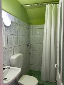 a bathroom with a toilet and a sink and a shower at Góbé Vendégház in Sovata +33 photos