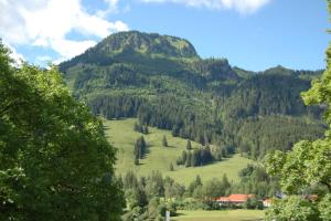 einen Berg mit einem grünen Feld und Bäumen in der Unterkunft Ferienwohnung mit Balkon I Bergblick I Parkplatz Apartment ONE in Bad Hindelang