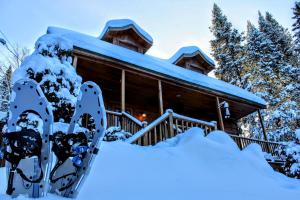 Chalet des Sources SPA Gazebo panoramique v zimě