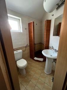 een badkamer met toilet en wastafel bij Vila Lago in Veliko Gradište +32 foto's