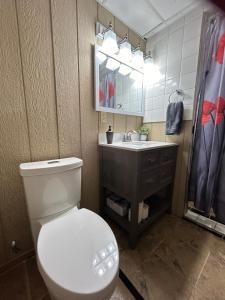 a bathroom with a white toilet and a sink at Bancroft VIBES l Sleep 7 l BBQ I FIRE PIT in Bancroft +8 photos