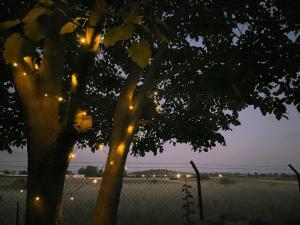 Galeriebild der Unterkunft Eco House on the Prairie in Tragasiá