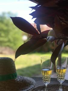 Nápoje v ubytování Agriturismo Melodie Toscane Sorano