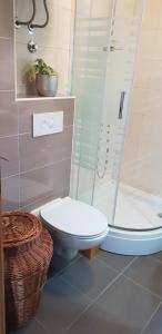 a bathroom with a toilet and a shower at Astralis in Trogir +4 photos