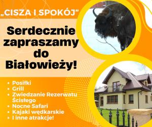 Un volante para una casa con un toro al frente. en Pokoje Gościnne Сisza, en Białowieża