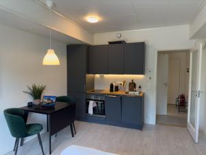 Η κουζίνα ή μικρή κουζίνα στο Studio Vestermyrveien, Svolvær