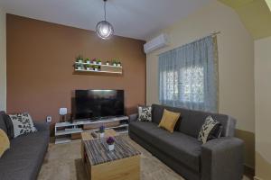a living room with a couch and a tv at Zeusplace Alexandra's Pool Villa Katerini in Katerini