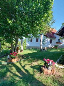 Κήπος έξω από το Etno guest house Lalovic