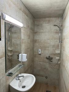 a bathroom with a sink and a shower at Villa Klara in Novi Sad