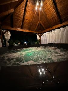 a pool of water in a room with a wooden ceiling at Pension Elegance in Gura Humorului
