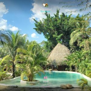 Bazén v ubytování COCONUT TARAPOTO - ECO RESORT nebo v jeho okolí + 46 fotografií