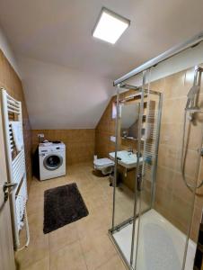 Kúpeľňa v ubytovaní Rodinné apartmány Dobrné