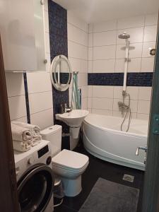 a bathroom with a sink and a toilet and a bath tub at Nena Apartment in Kumanovo