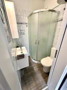 a bathroom with a shower and a toilet and a sink at Athena Apartment in Argostoli +4 photos