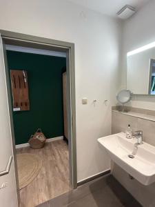 a bathroom with a sink and a mirror at Ferienwohnungen mit Feldblick in Schwerin +24 photos