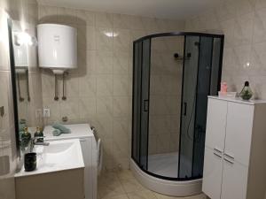 Phòng tắm tại Apartment Pojatica Sumartin +37 ảnh