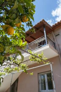 a building with an orange tree in front of it at Cozy loft Big balcony all comfort Near Sarandë in Dërmish