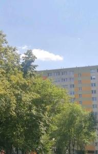 un gruppo di alberi di fronte a un edificio di Retro CHARME CENTRUM obok szpitala a Białystok
