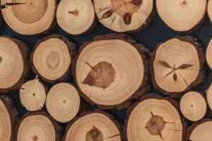a group of wood logs with a clock on them at HIRSCH Stadt Apartment 3 - Balkon mit Flussblick - Parkplatz in Bad Harzburg
