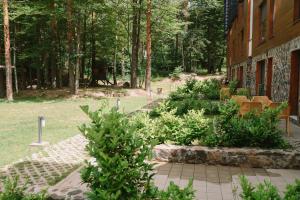 En have udenfor Apartman Novak - Divčigora