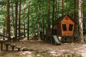En have udenfor Apartman Novak - Divčigora