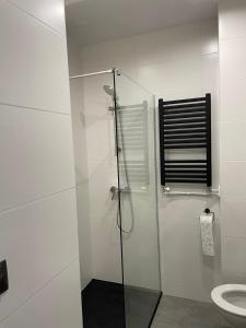 a bathroom with a glass shower with a toilet at Kościuszki in Sanok