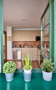 a kitchen with three potted plants on a table at Casa Pepe Las Candelarias in Agaete