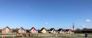 a row of colorful houses in a field at Weston glamping pod in Oswestry