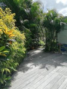 Zahrada ubytování Villa Pakala au Diamant-jolie villa avec piscine et jardin