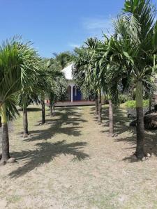 Zahrada ubytování Villa Pakala au Diamant-jolie villa avec piscine et jardin