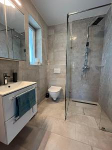 a bathroom with a shower and a toilet and a sink at Lux Penthouse Balatonlelle in Balatonlelle